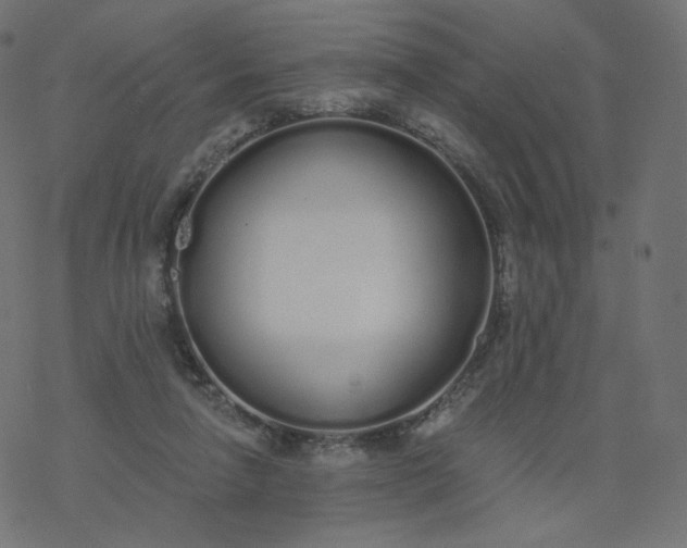 X0000077400258200611032034