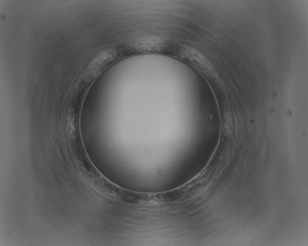 X0000077400259200611032034