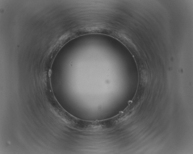 X0000077400260200611032034