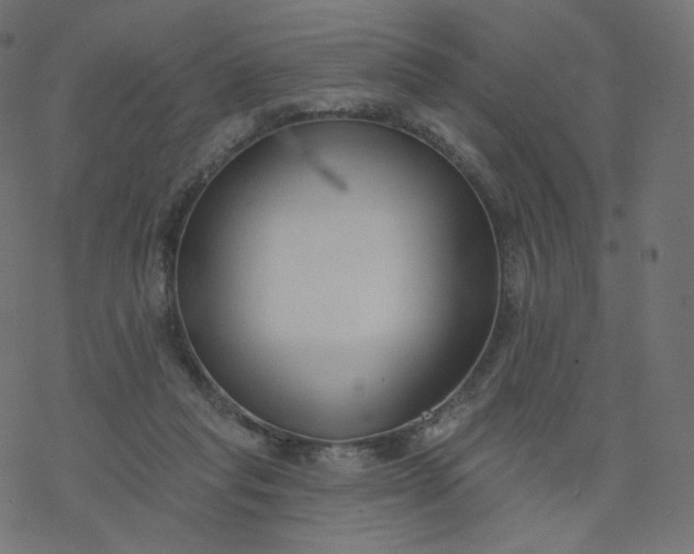 X0000077400261200611032034