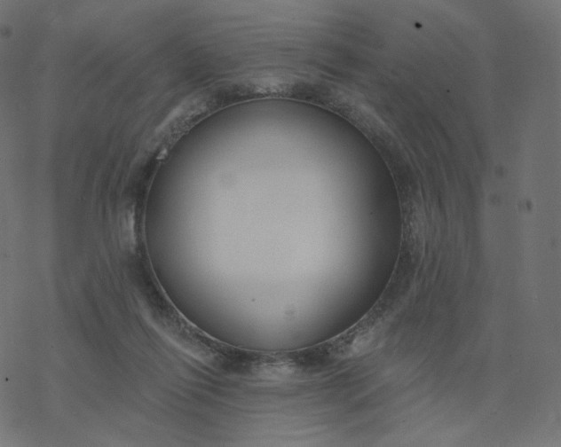 X0000077400262200611032034