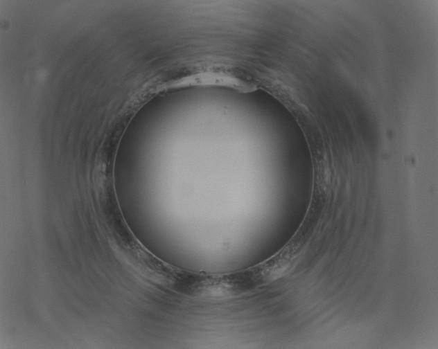 X0000077400263200611032034