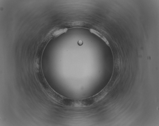 X0000077400264200611032034