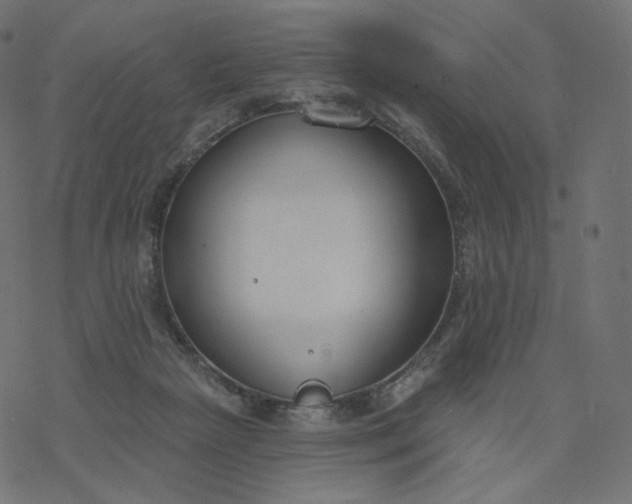 X0000077400265200611032034