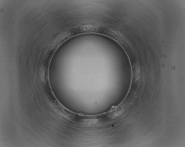 X0000077400266200611032034