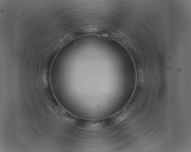 X0000077400267200611032034