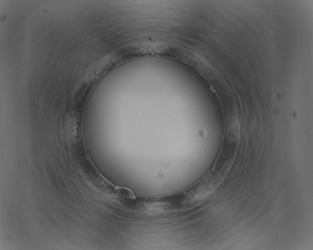 X0000077400268200611032034