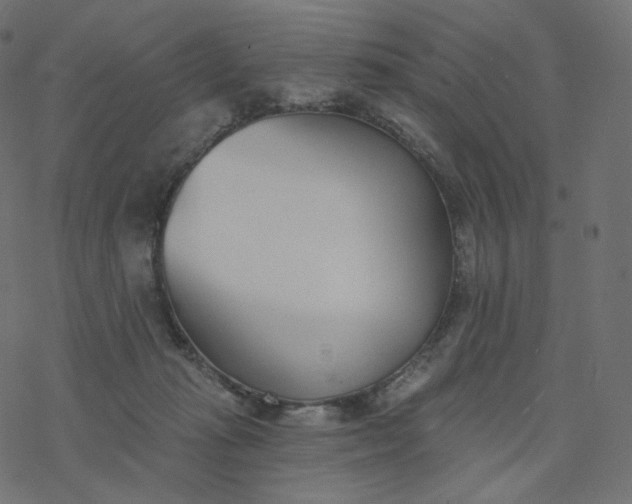 X0000077400269200611032034