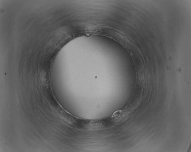 X0000077400270200611032034