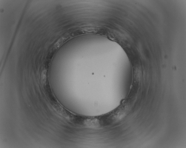 X0000077400271200611032034