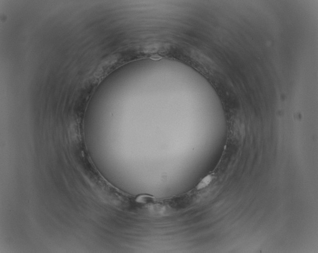 X0000077400272200611032034