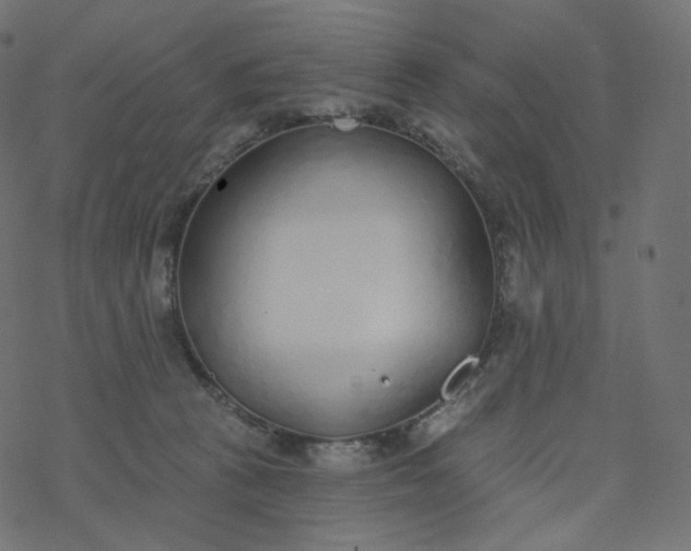 X0000077400273200611032034