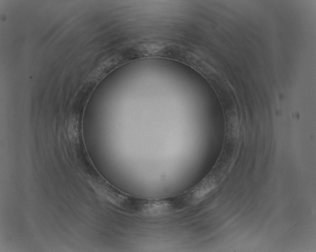 X0000077400274200611032034