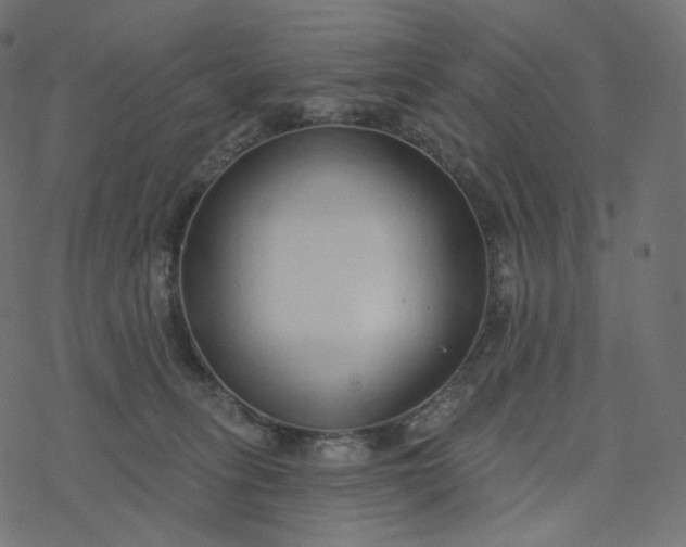 X0000077400275200611032034