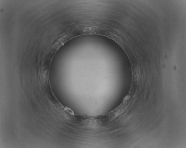 X0000077400276200611032034