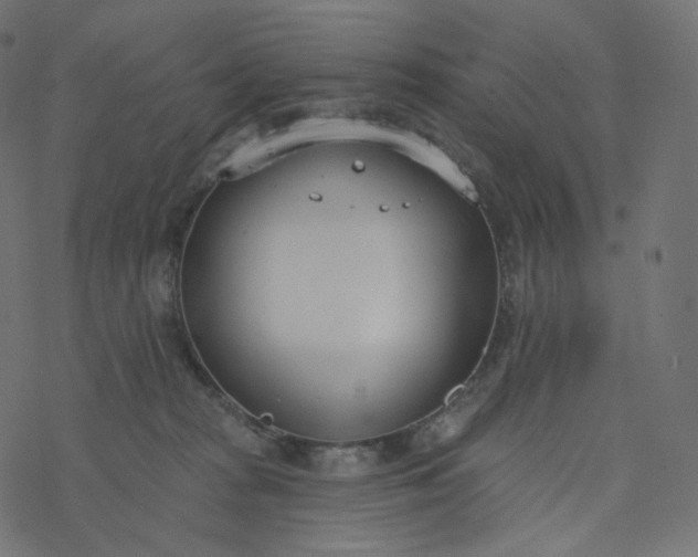 X0000077400277200611032034