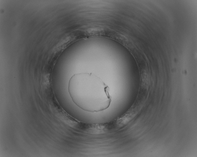 X0000077400278200611032034