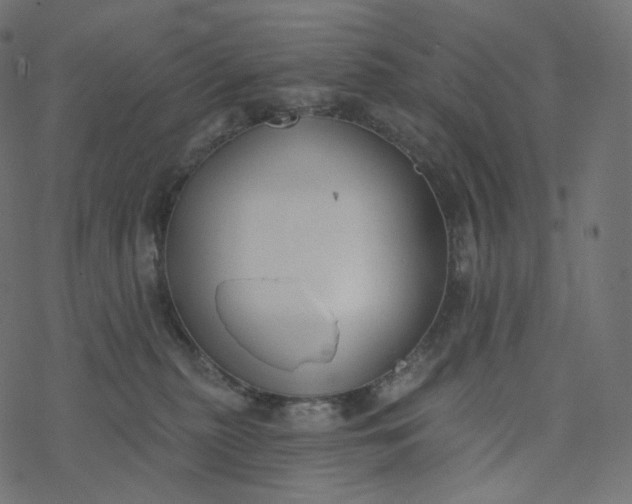 X0000077400279200611032034