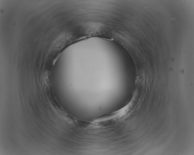 X0000077400280200611032034