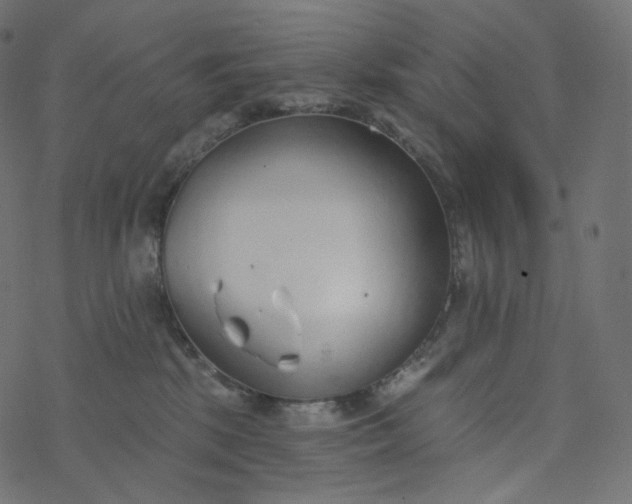 X0000077400281200611032034