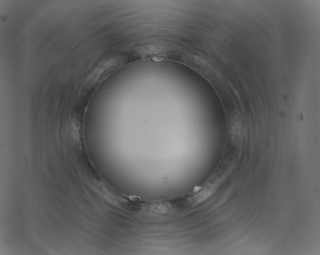 X0000077400282200611032034