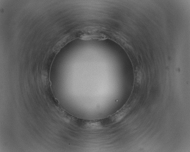 X0000077400283200611032034