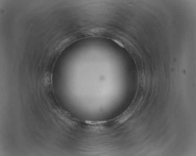 X0000077400284200611032034