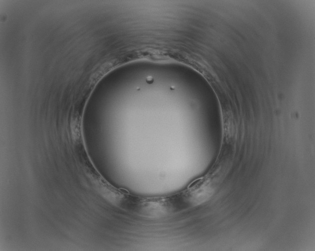 X0000077400285200611032034