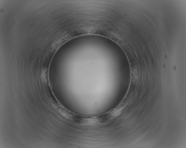 X0000077400286200611032034