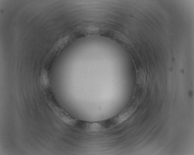 X0000077400287200611032034