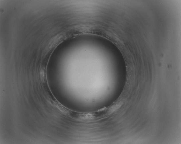 X0000077400288200611032034