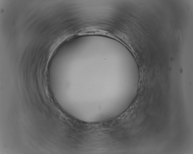 X0000077400289200611032033