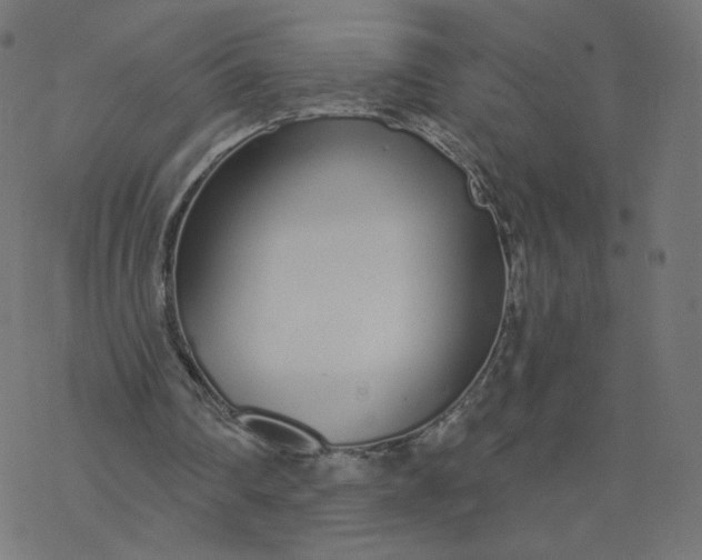 X0000077400290200611032033