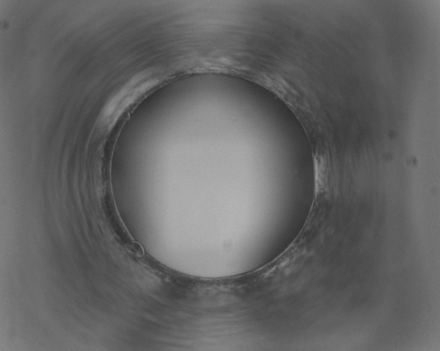 X0000077400291200611032033