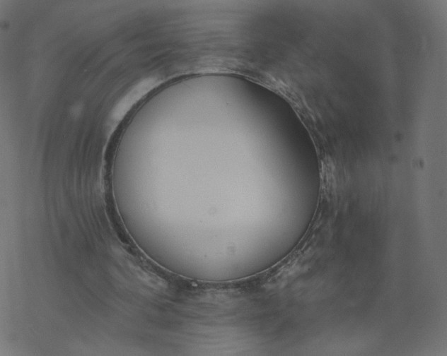 X0000077400292200611032033