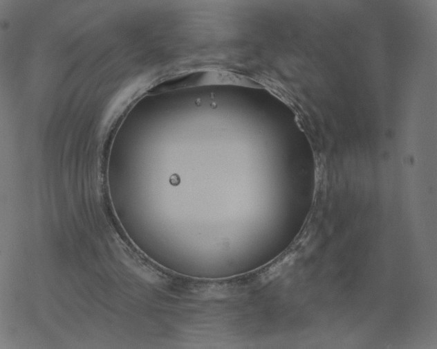 X0000077400293200611032033