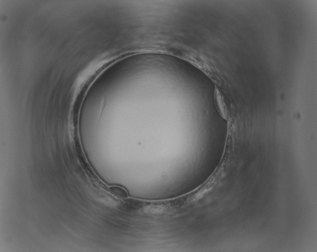 X0000077400294200611032033