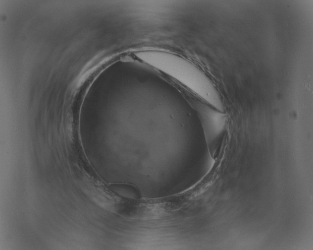 X0000077400295200611032033