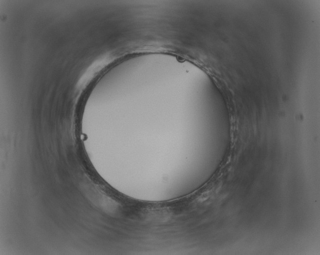 X0000077400296200611032033