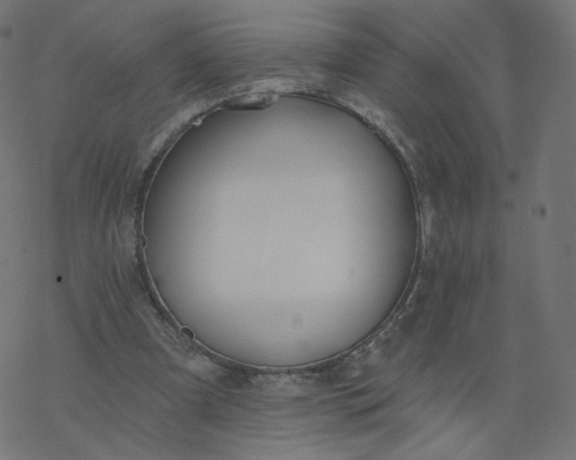 X0000077400297200611032033