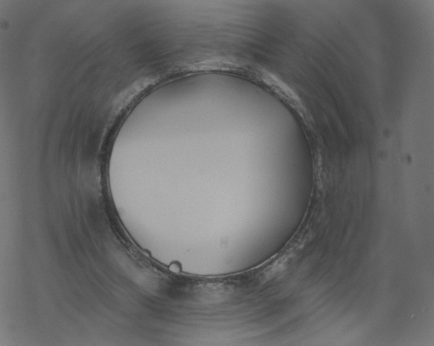 X0000077400298200611032033