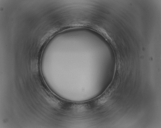 X0000077400299200611032033