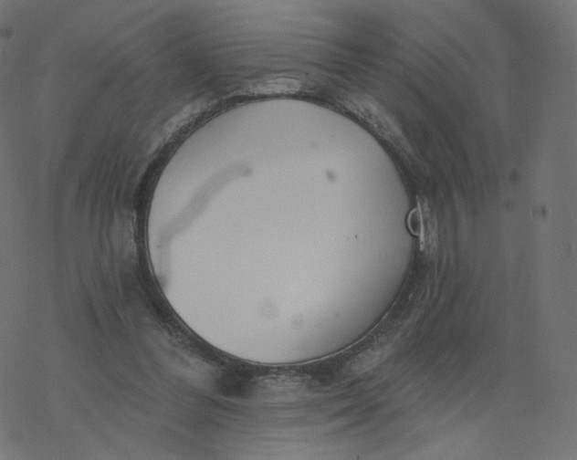 X0000077400300200611032033