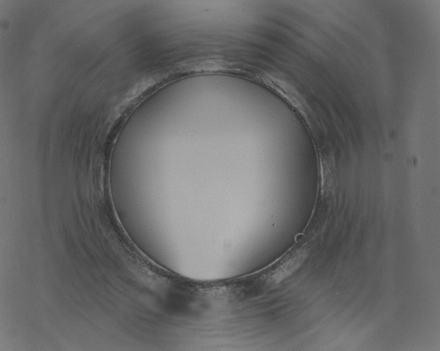 X0000077400301200611032033