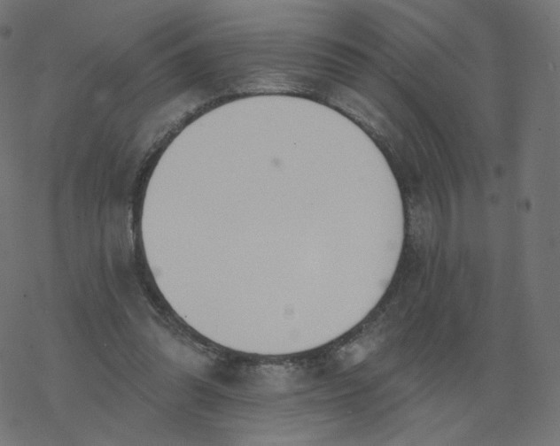 X0000077400302200611032033