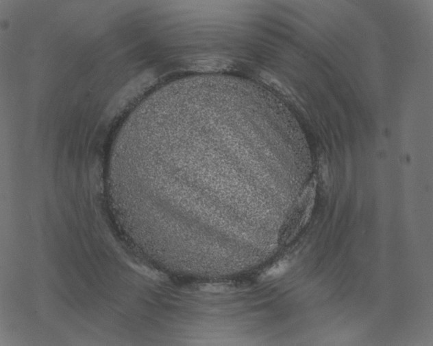 X0000077400303200611032033