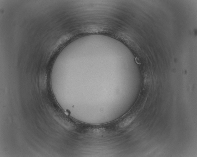 X0000077400304200611032033