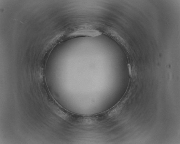 X0000077400305200611032033