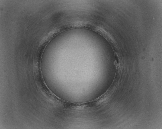 X0000077400306200611032033