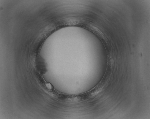 X0000077400307200611032033